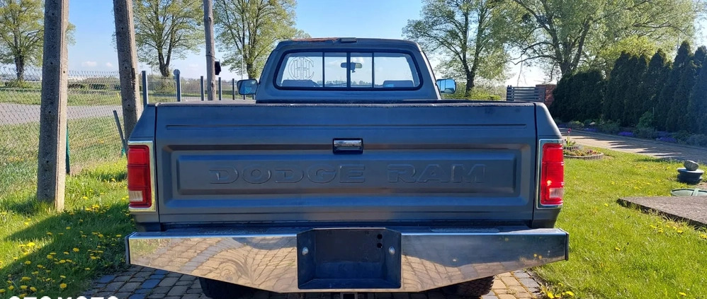 Dodge RAM cena 31000 przebieg: 209000, rok produkcji 1990 z Skwierzyna małe 92